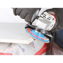 FLEXIMONTGF - Flap Diamond Disc - Fleximont