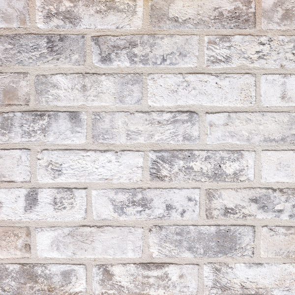 Frost Clay Brick Slips - 215x65x20mm