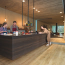 Quick-Step Laminate Majestic Woodland Oak Natural 9.5mm