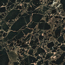 Marmoker - Orange Black