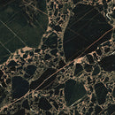 Marmoker - Orange Black