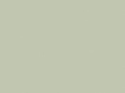 Oikos Coprimax - Interior Acrylic Paint