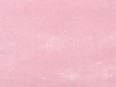 Oikos Raffaello Decorstucco - Polished Plaster (Band 1 Colours)