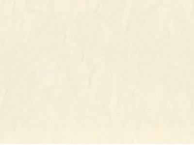 Oikos Raffaello Decorstucco - Polished Plaster (Band 2 Colours)