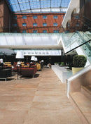 Amazzonia - Dragon Brown