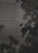 Cemento Cassero - Antracite